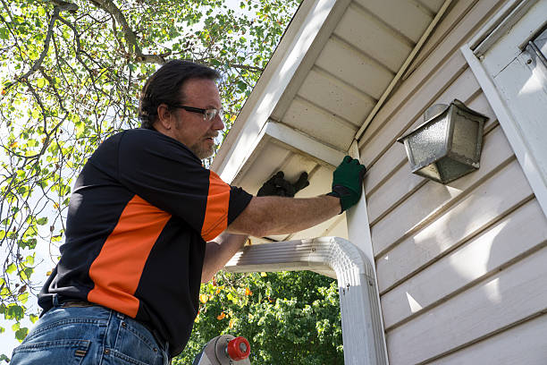 Best Stone Veneer Siding  in Ketchikan, AK